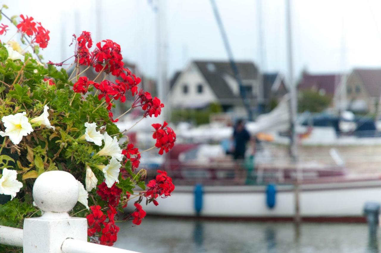 Heerlijk Huis aan het IJsselmeer Stavoren Buitenkant foto