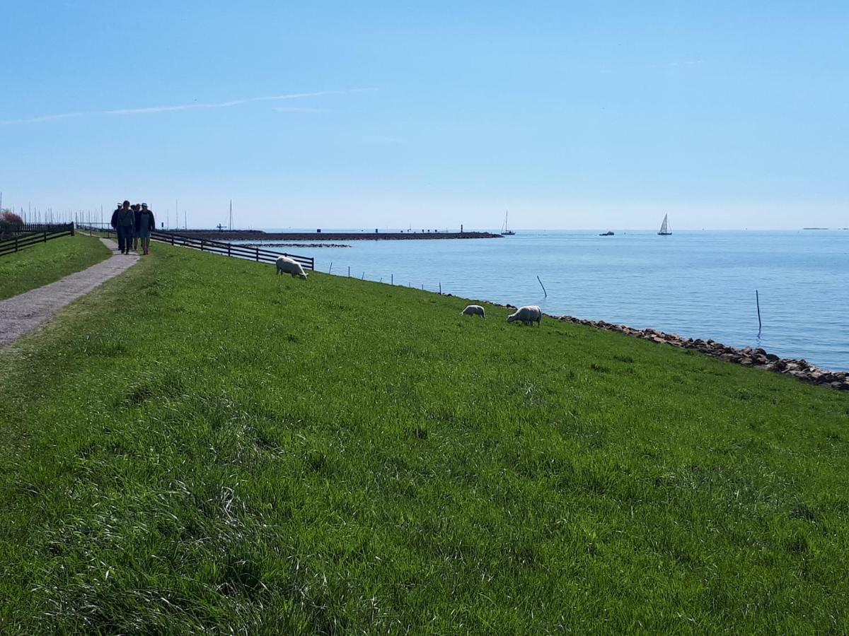 Heerlijk Huis aan het IJsselmeer Stavoren Buitenkant foto